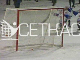 Сетка гашения  для ворот хоккея с мячом нить 3,0 мм 4135-01